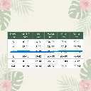 Aroa_Dress_Chart.webp