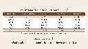 Untitled design (9).webp