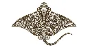 Gemini_Generated_Image_hk6281hk6281hk62 (1).webp