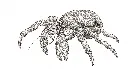 Gemini_Generated_Image_fbhtp3fbhtp3fbht.webp