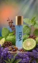 TOA Perfume