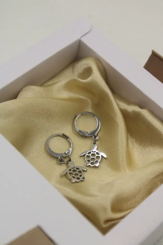 Onu Earrings SILVER 